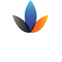 FIDES CONSULTING